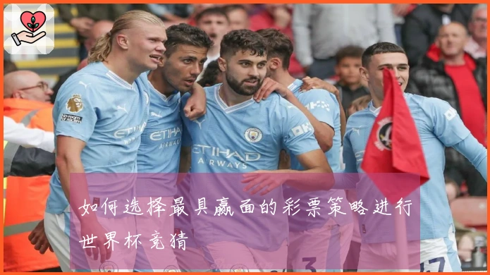 如何选择最具赢面的彩票策略进行世界杯竞猜