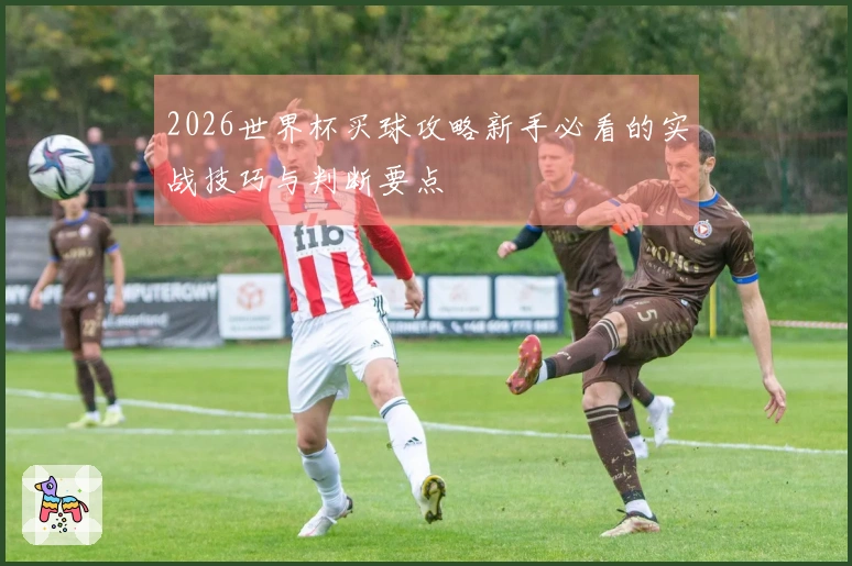 2026世界杯买球攻略新手必看的实战技巧与判断要点