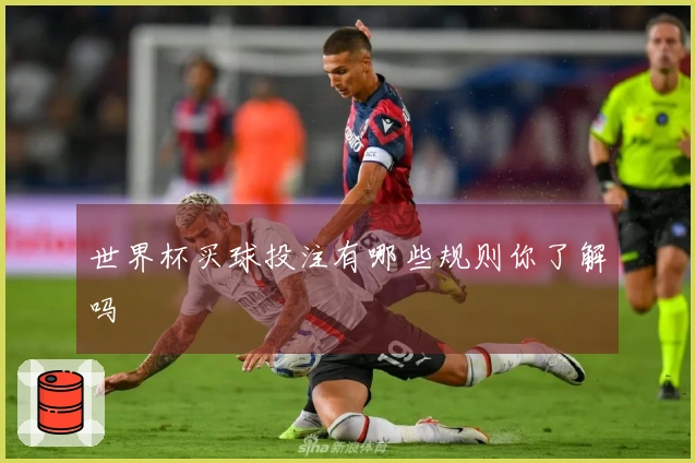 世界杯买球投注有哪些规则你了解吗