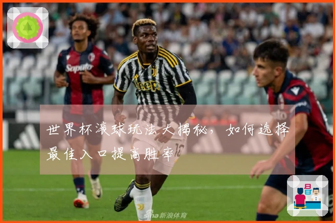 世界杯滚球玩法大揭秘，如何选择最佳入口提高胜率