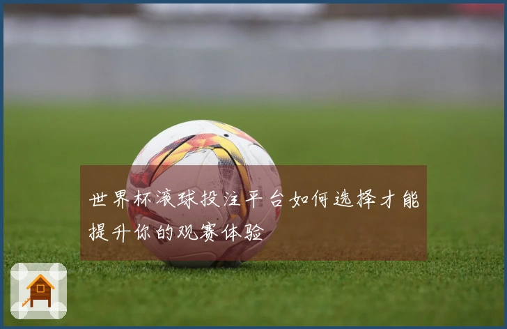 世界杯滚球投注平台如何选择才能提升你的观赛体验