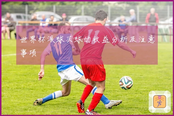 世界杯滚球买球的收益分析及注意事项