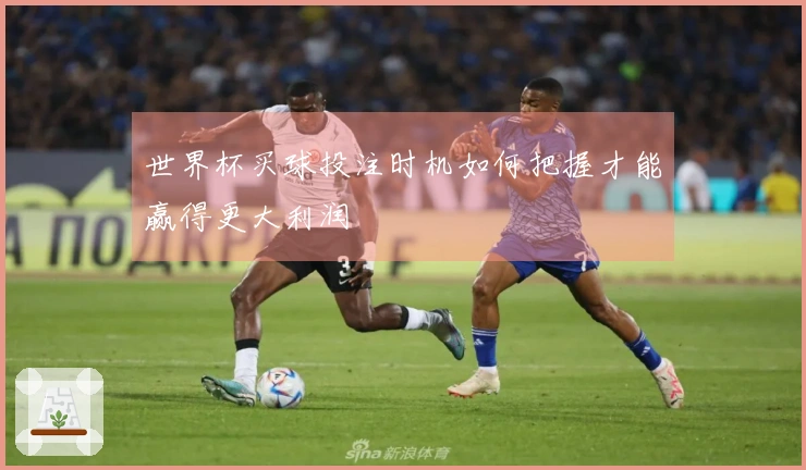 世界杯买球投注时机如何把握才能赢得更大利润